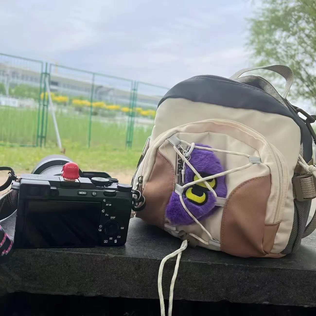 Backpack Aesthetic Mini Backpack Small Travel Backpack