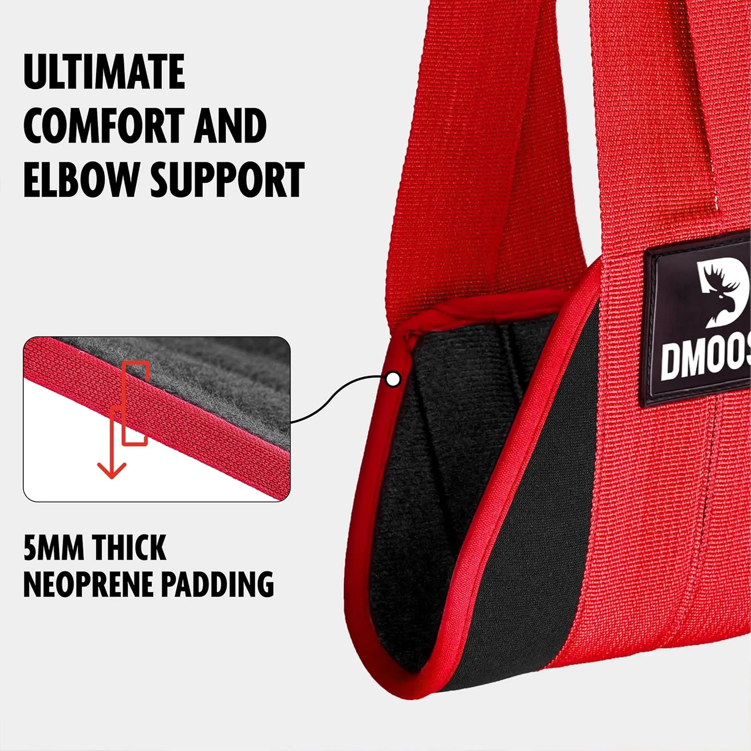 DMoose Fitness Hanging Ab Straps for Pull Up Bar & Core Strength Training - Thick Padded Arm Strap for Ab Swing with 2 Rust-Resistant Carabiners - Pull Up Straps for Abs Workout at Home and Gym (Pair)