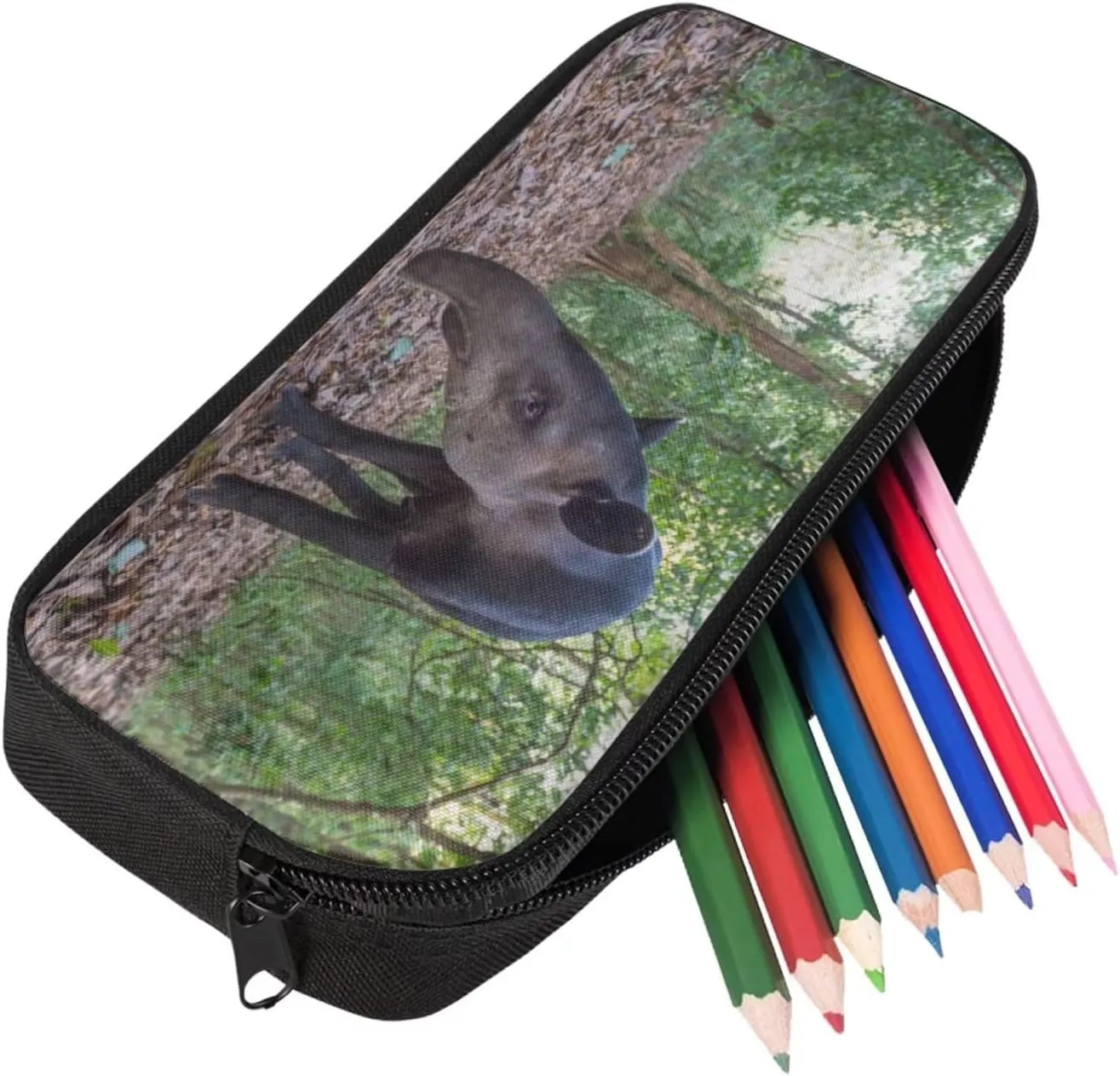 Kids Novelty Animal Backpack and Lunch Box for Boys Girls Student Lightweight 17 Inch School Baird’s Tapir Backpack with Lunch Bag Pencil Case Kids Comfy Padded Black Large Bookbag