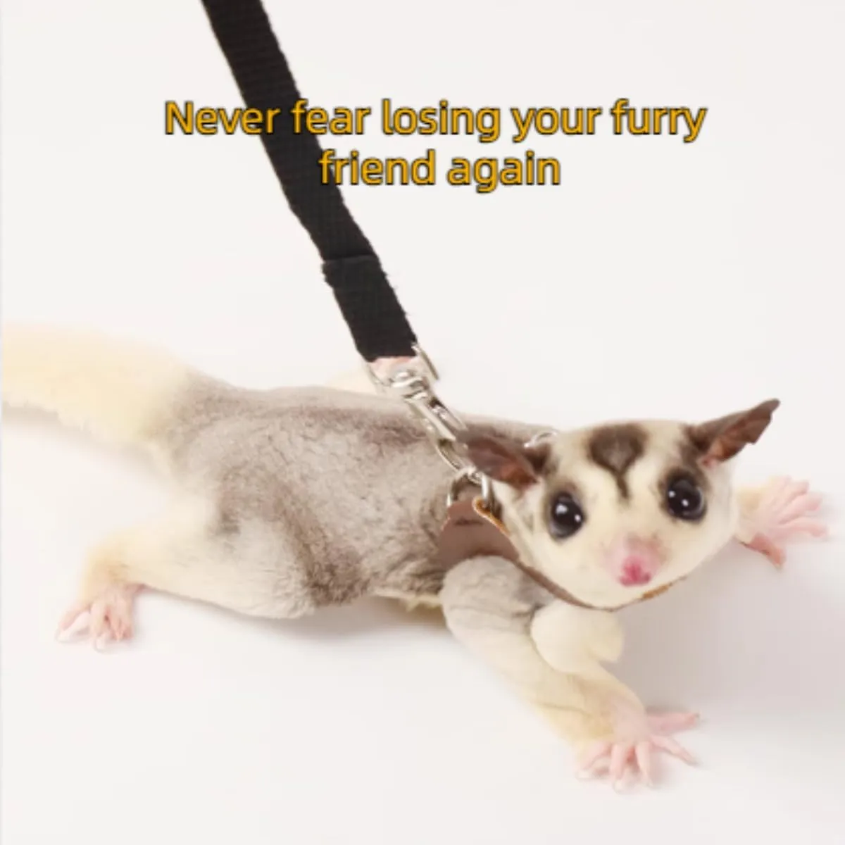 MANON ROSA Sugar Glider Pouch - Small Animal Carrier Bag with Harness Set for Bonding Sling for Reptile Pets Bearded Dragons Lizards Backpack Accessories for Outdoor Travel Walking Resting Blue