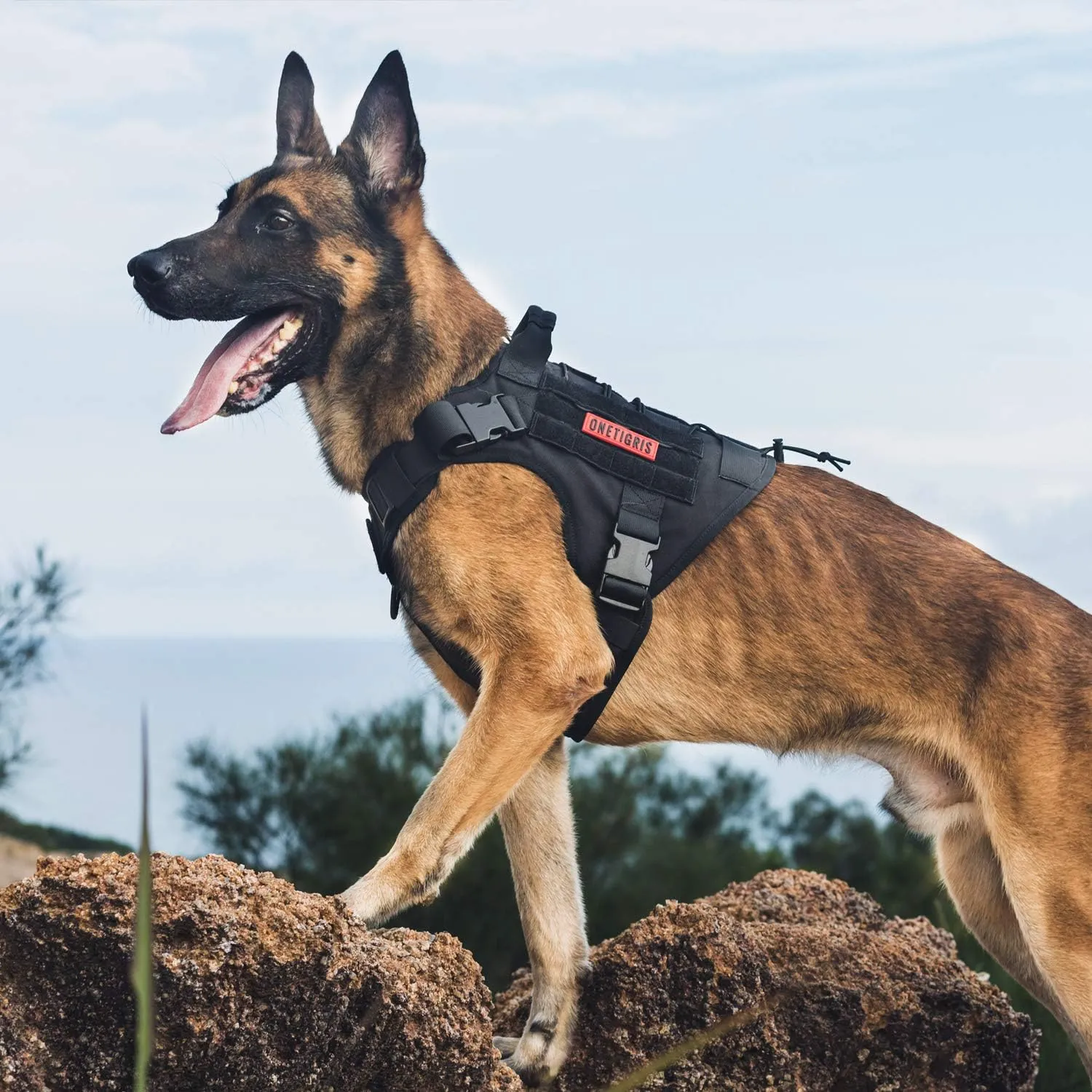 OneTigris Tactical Dog Harness Vest,No-Pull Service Dog Vest with Hook & Loop Panels,Adjustable Dog Vest Harness for Walking Hiking Training(Black,XXS)