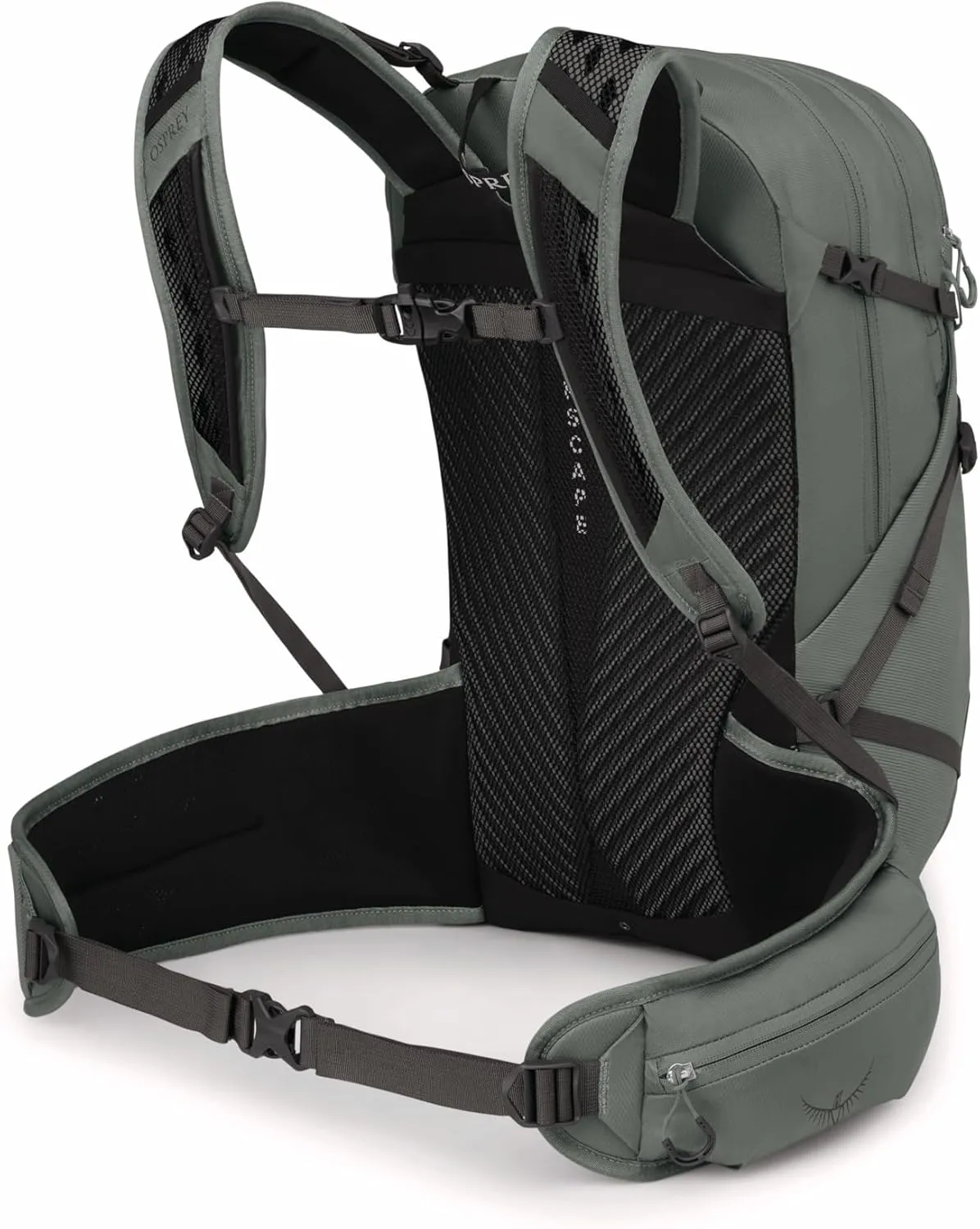 Osprey Sportlite 25L Unisex Hiking Backpack, Pine Leaf Green, S/M, Extended Fit