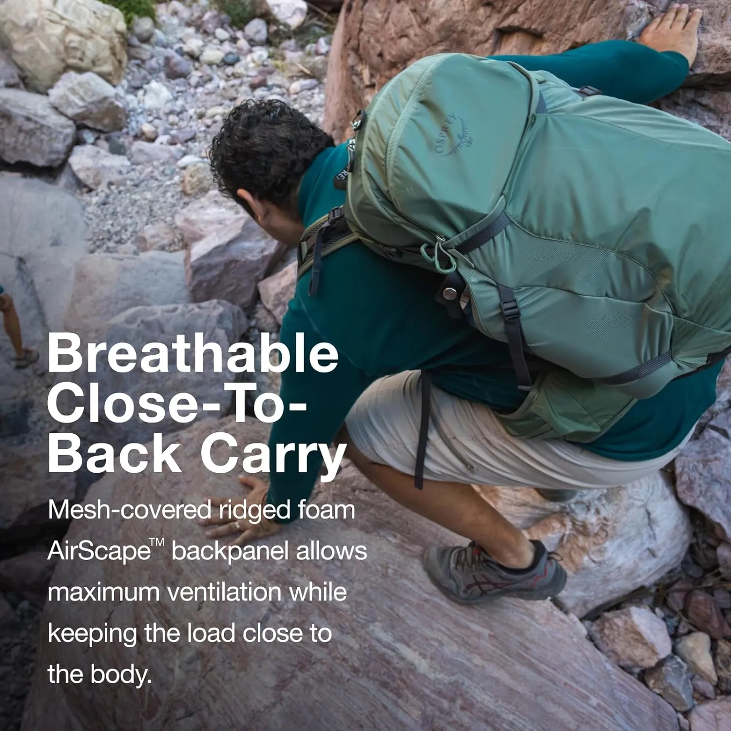 Osprey Sportlite 25L Unisex Hiking Backpack, Pine Leaf Green, S/M, Extended Fit