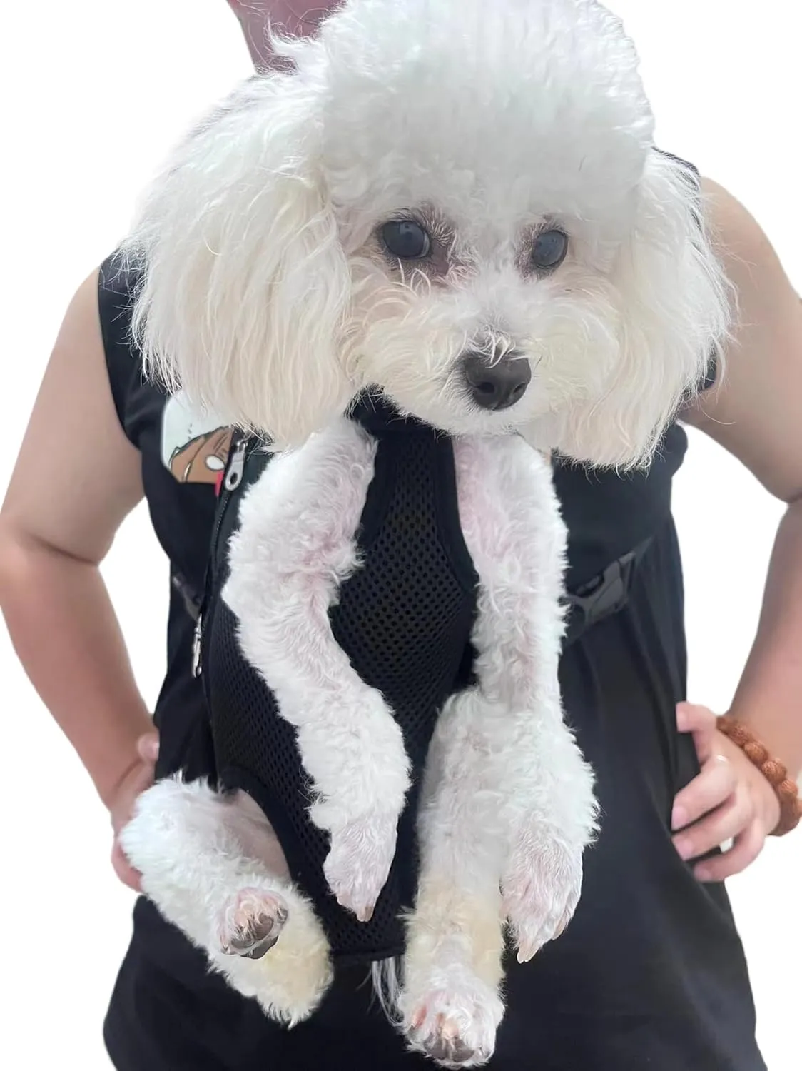 Pet Carrier Backpack - Adjustable Pet Front Cat Dog Carrier Backpack Travel Bag,Legs Out,Easy-Fit for Traveling Hiking Camping for Small Medium Dogs Cats Puppies. (Black, Small)