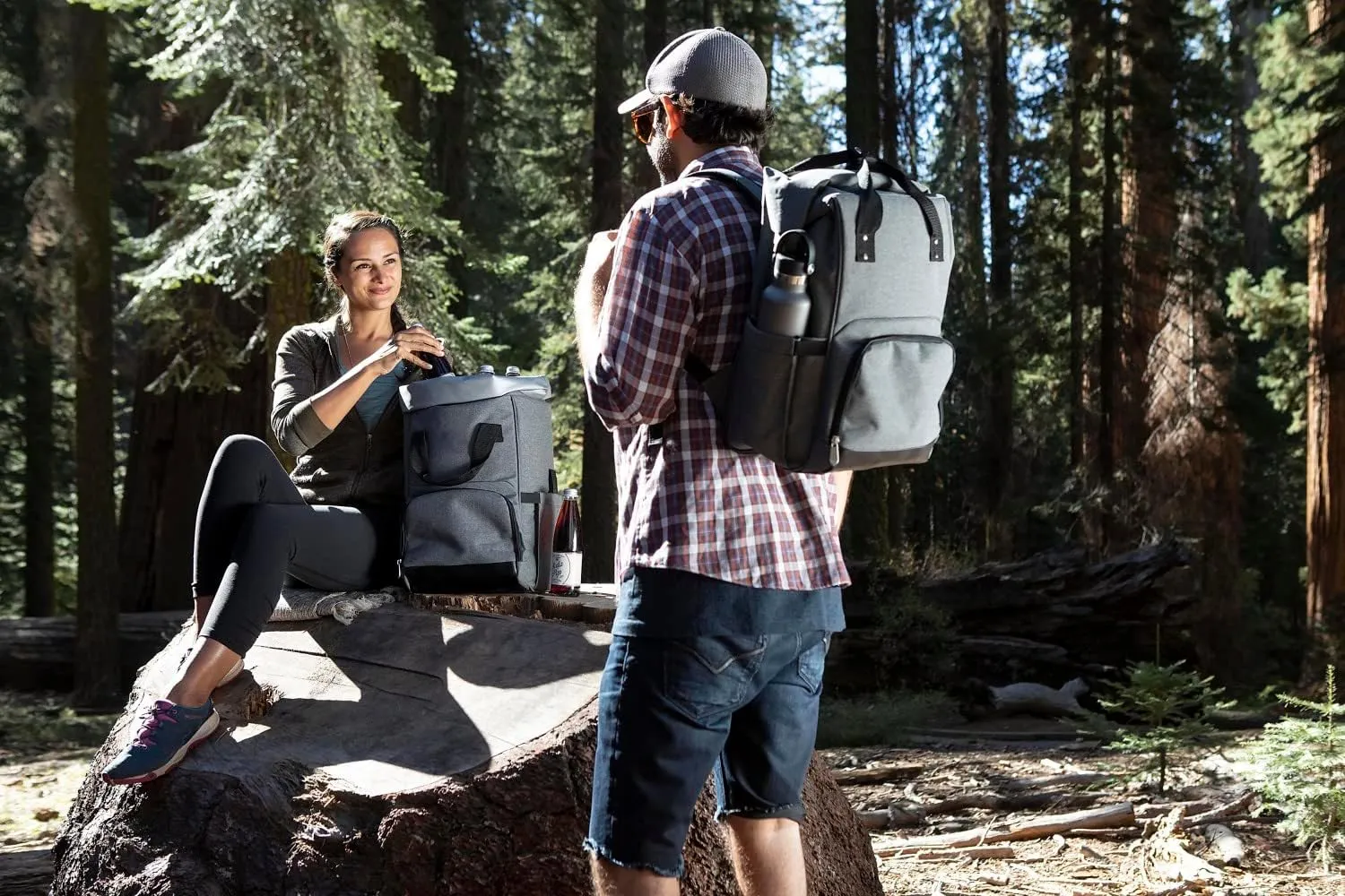 PICNIC TIME Gray Seattle Seahawks Backpack