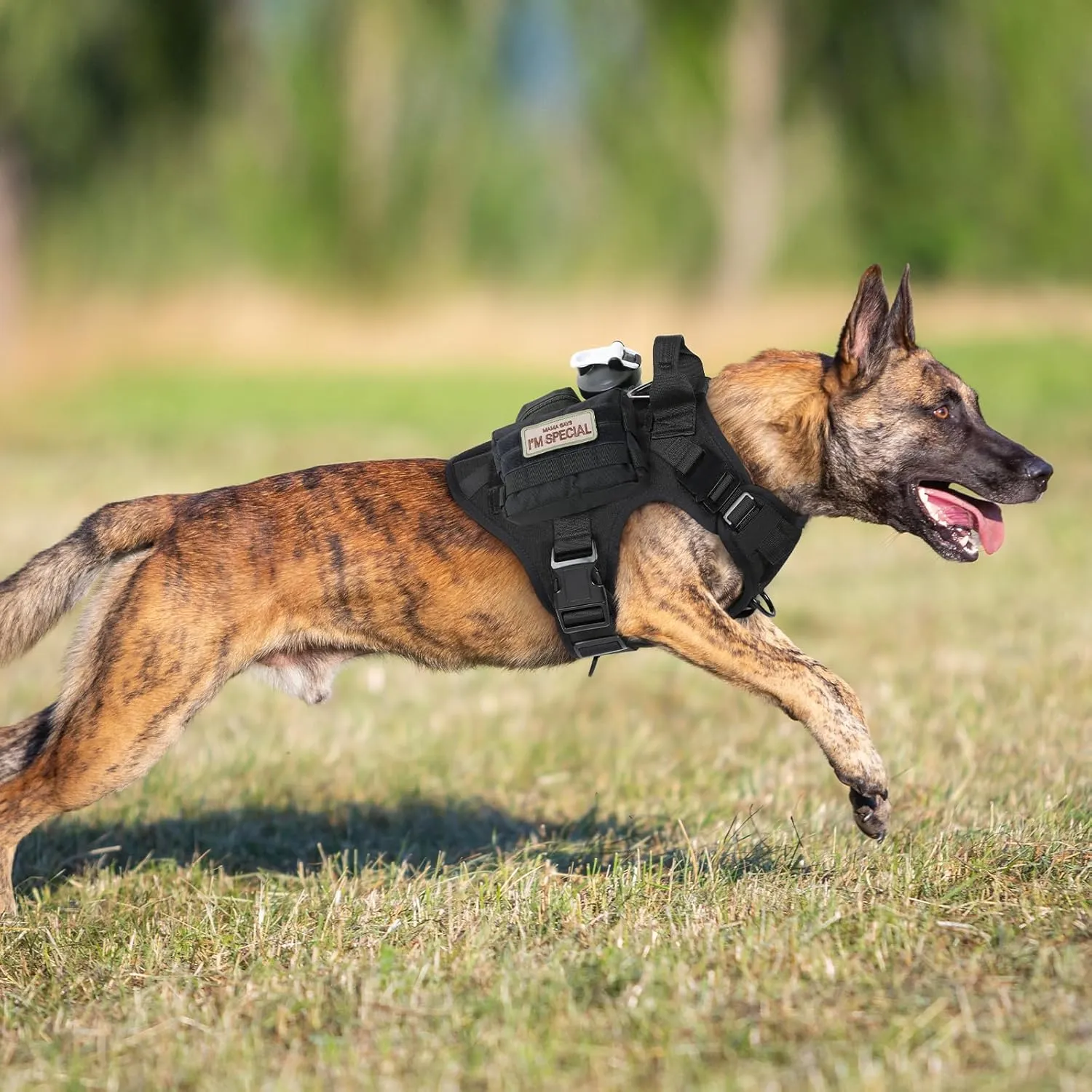 rabbitgoo Tactical Dog Harness for Large, Heavy Duty Pet Harness with Handle, No-Pull Service Vest Large Breed, Adjustable Military Dog Vest for Training Hunting Walking, Black, XL
