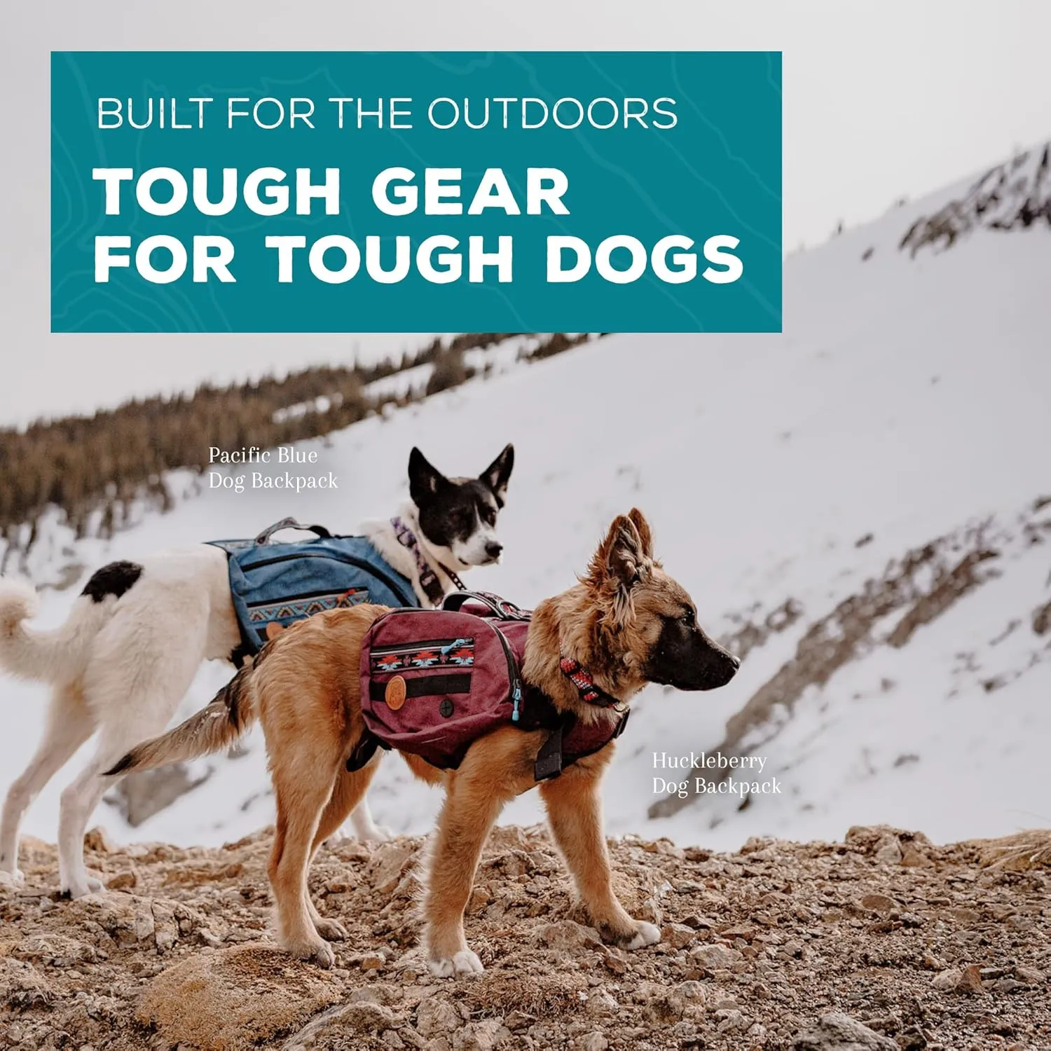 Wilderdog Dog Backpack with Built in Harness and Back-Mounted D-Ring Leash Attachment, Handle, Two Saddlebags with 4 Total Pockets, Built in Poop Bag Dispenser (Huckleberry, Large)